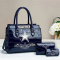 Buy the Handbag, Get the Wallet & Card Holder Free Dallas Cowboys VITRHB099